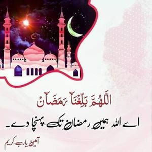 Meet your Posher, Anila